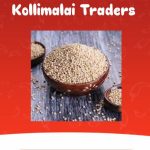 Sorghum - வெள்ளை சோளம்